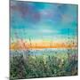 Sunset-Sandy Dooley-Mounted Art Print