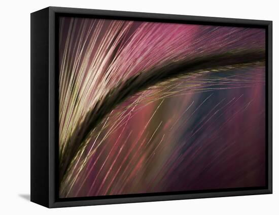Sunset-Ursula Abresch-Framed Stretched Canvas