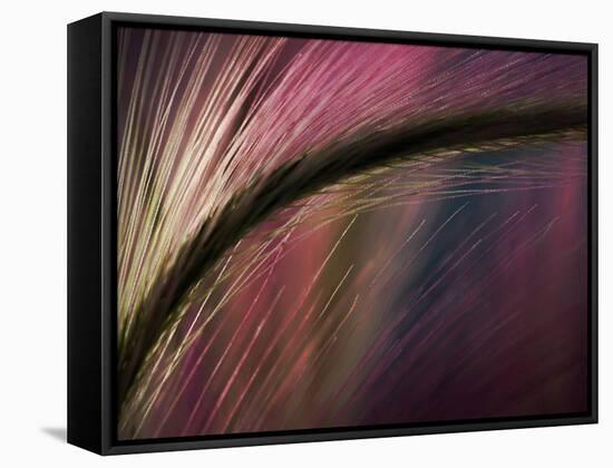 Sunset-Ursula Abresch-Framed Stretched Canvas