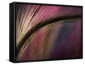 Sunset-Ursula Abresch-Framed Stretched Canvas