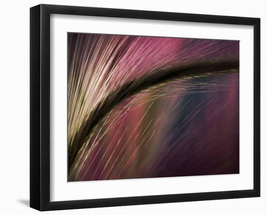 Sunset-Ursula Abresch-Framed Photographic Print