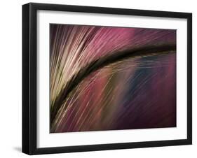 Sunset-Ursula Abresch-Framed Photographic Print