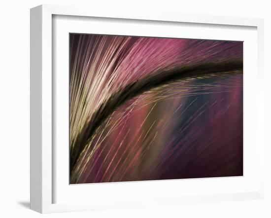 Sunset-Ursula Abresch-Framed Photographic Print