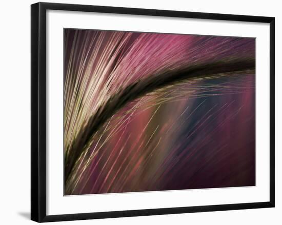 Sunset-Ursula Abresch-Framed Photographic Print