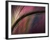 Sunset-Ursula Abresch-Framed Photographic Print