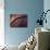 Sunset-Ursula Abresch-Mounted Photographic Print displayed on a wall