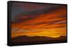 Sunset-null-Framed Stretched Canvas