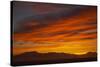 Sunset-null-Stretched Canvas