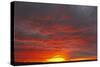 Sunset-null-Stretched Canvas