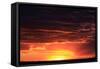 Sunset-null-Framed Stretched Canvas