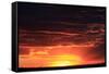 Sunset-null-Framed Stretched Canvas