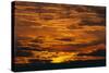 Sunset-DLILLC-Stretched Canvas