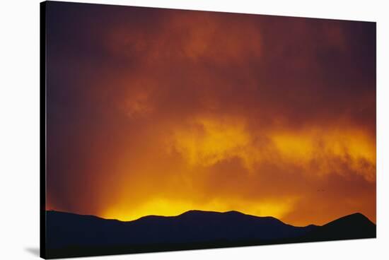 Sunset-DLILLC-Stretched Canvas