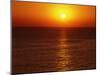 Sunset-WizData-Mounted Photographic Print