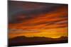 Sunset-null-Mounted Photographic Print