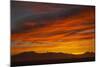 Sunset-null-Mounted Photographic Print