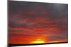 Sunset-null-Mounted Photographic Print