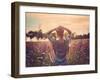 Sunset-Magdalena Wolk-Framed Photographic Print