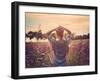 Sunset-Magdalena Wolk-Framed Photographic Print