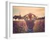 Sunset-Magdalena Wolk-Framed Photographic Print