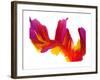 Sunset-Aleta Pippin-Framed Giclee Print