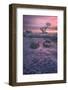 Sunset-Larry Deng-Framed Photographic Print