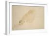 Sunset-Auguste Rodin-Framed Giclee Print