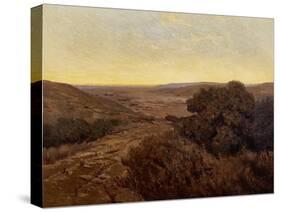 Sunset-Elmer Wachtel-Stretched Canvas