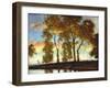 Sunset-Dedrick Stuber-Framed Art Print