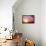 Sunset-frenta-Framed Stretched Canvas displayed on a wall