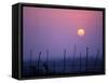 Sunsets Over the Fields, Ethiopia-Janis Miglavs-Framed Stretched Canvas