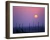 Sunsets Over the Fields, Ethiopia-Janis Miglavs-Framed Photographic Print