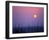 Sunsets Over the Fields, Ethiopia-Janis Miglavs-Framed Photographic Print