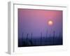 Sunsets Over the Fields, Ethiopia-Janis Miglavs-Framed Photographic Print