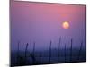 Sunsets Over the Fields, Ethiopia-Janis Miglavs-Mounted Photographic Print