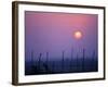 Sunsets Over the Fields, Ethiopia-Janis Miglavs-Framed Photographic Print