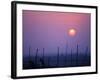 Sunsets Over the Fields, Ethiopia-Janis Miglavs-Framed Photographic Print