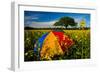 Sunshade, Brightly, Rest in the Colza Field at the Schleswig-Holstein County-Thomas Ebelt-Framed Photographic Print