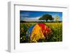 Sunshade, Brightly, Rest in the Colza Field at the Schleswig-Holstein County-Thomas Ebelt-Framed Photographic Print