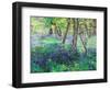 Sunshine and Bluebells-Sylvia Paul-Framed Giclee Print