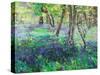 Sunshine and Bluebells-Sylvia Paul-Stretched Canvas