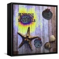 SunShine and SeaShells-Tom Kelly-Framed Stretched Canvas