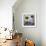 SunShine and SeaShells-Tom Kelly-Framed Giclee Print displayed on a wall