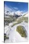 Sunshine and snow at Alpe Fora with Monte Disgrazia in the background, Malenco Valley, Province of -Roberto Moiola-Stretched Canvas