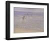 Sunshine at Skagen: Boys Swimming, 1892 (Study)-Peder Severin Kröyer-Framed Giclee Print