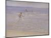 Sunshine at Skagen: Boys Swimming, 1892 (Study)-Peder Severin Kröyer-Mounted Giclee Print