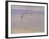 Sunshine at Skagen: Boys Swimming, 1892 (Study)-Peder Severin Kröyer-Framed Giclee Print