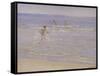 Sunshine at Skagen: Boys Swimming, 1892 (Study)-Peder Severin Kröyer-Framed Stretched Canvas