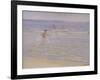 Sunshine at Skagen: Boys Swimming, 1892 (Study)-Peder Severin Kröyer-Framed Giclee Print