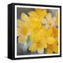 Sunshine Blooms-Kimberly Allen-Framed Stretched Canvas